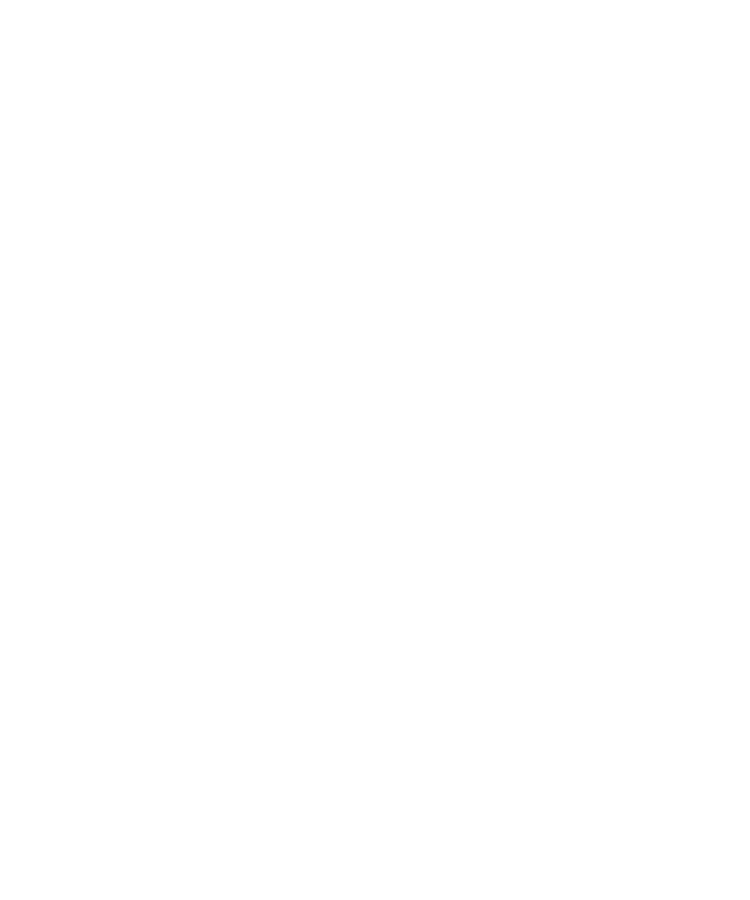 750 x 900 (1)