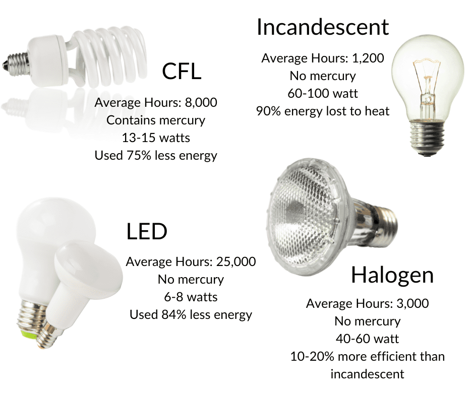 various types of light bulbs