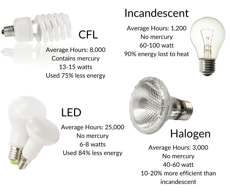 various types of light bulbs various types of light bulbs