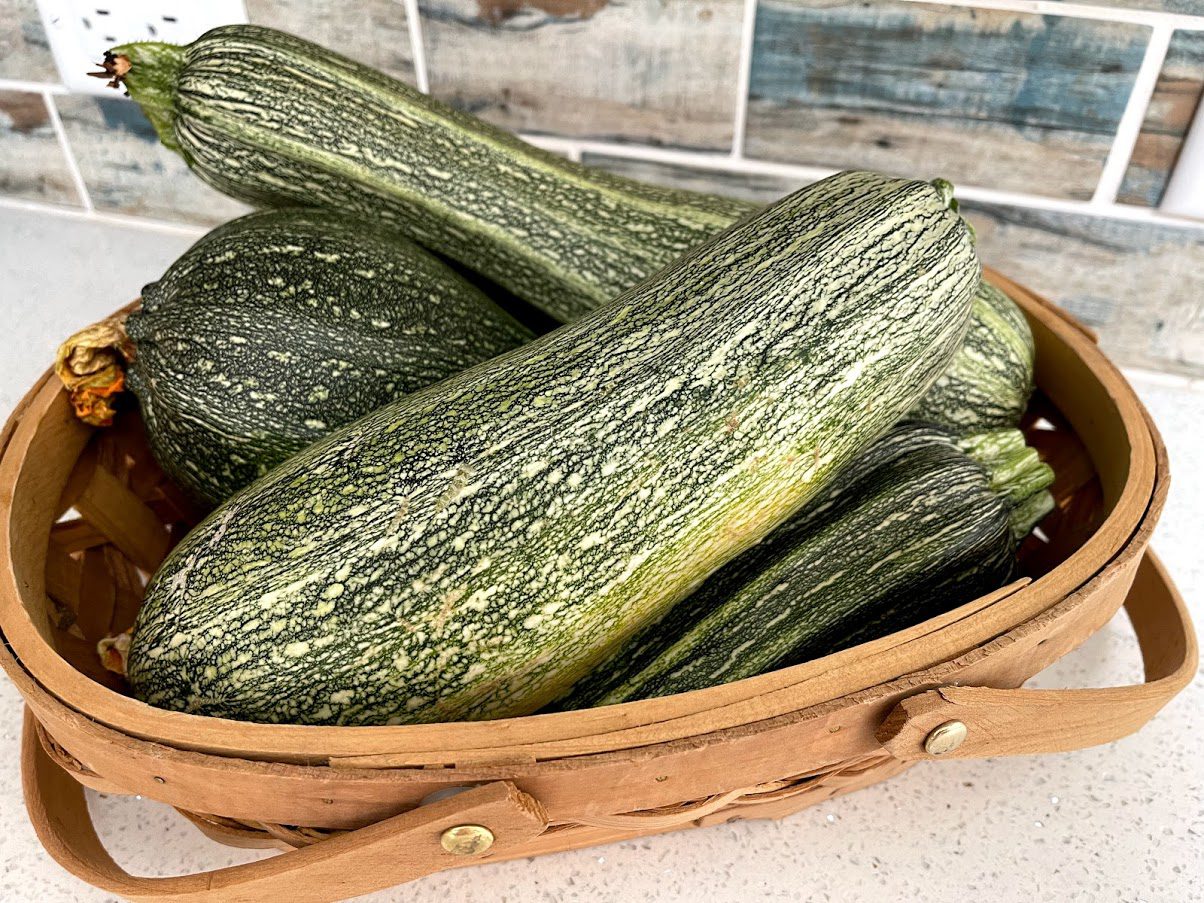 costata romanesco zucchini