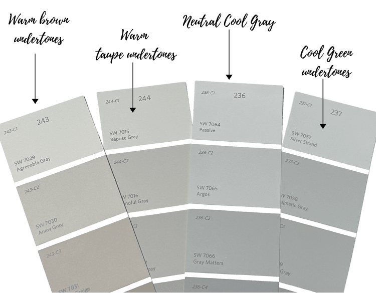 Neutral Cool Gray