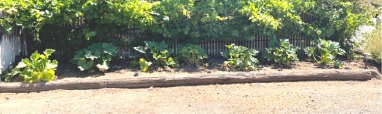 Untitled design (21)