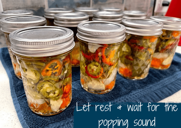 homemade pickled jalapenos (7)
