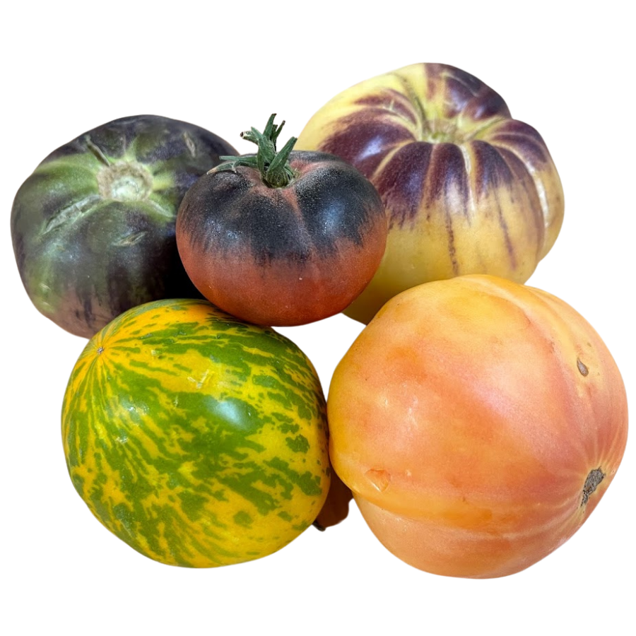 heirloom tomatoes green, purple, orange, red, and yellow