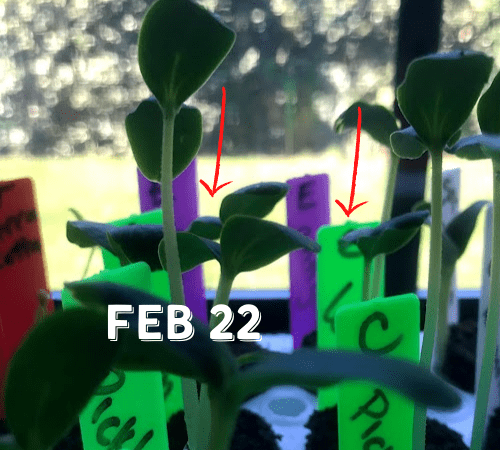 Feb 22, 2021 (1)