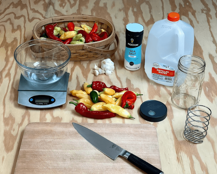 fermented hot sauce (1)