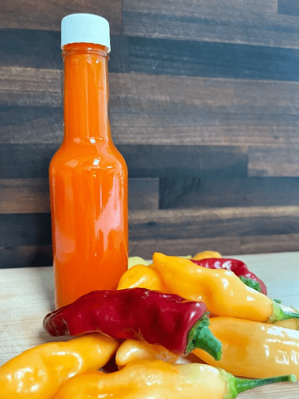 fermented hot sauce (22)
