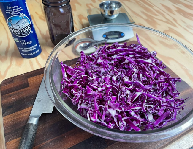 sauerkraut with purple cabbage sauerkraut with purple cabbage