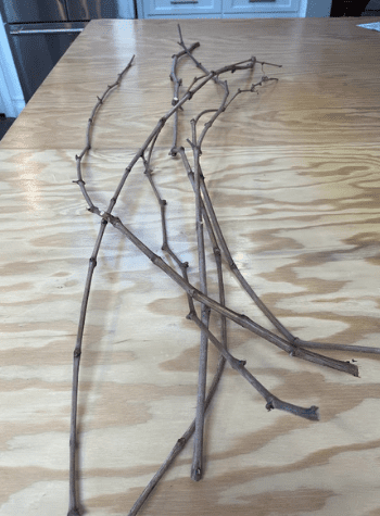 Valentine Garland
