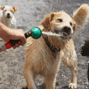 Stay cool this summer (2)