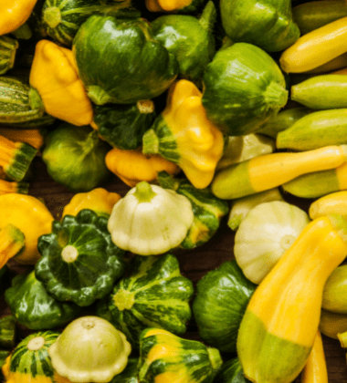 lots of zucchini squash