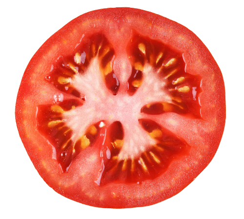 tomato slice tomato slice