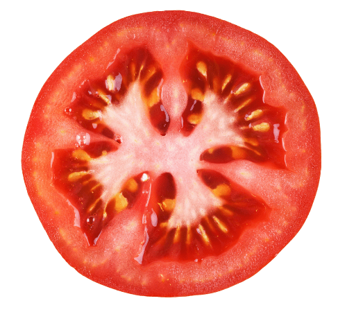 tomato slice