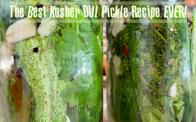 The Best Kosher Dill Pickle Recipe Ever