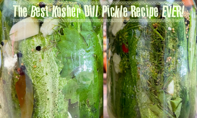 The Best Kosher Dill Pickle Recipe Ever