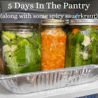 pickle recipe (7)