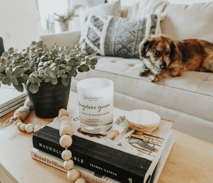 Photo by corinne Kutz on Unsplash Photo by Corinne Kutz on Unsplash